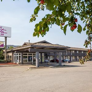 The Vista Inn